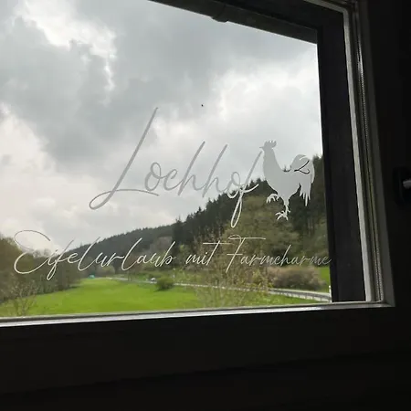 Semesterbostad Lochhof Zwei - Eifelurlaub Mit Farmcharme *