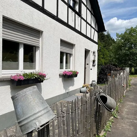 Lochhof Zwei - Eifelurlaub Mit Farmcharme Feriehus *
