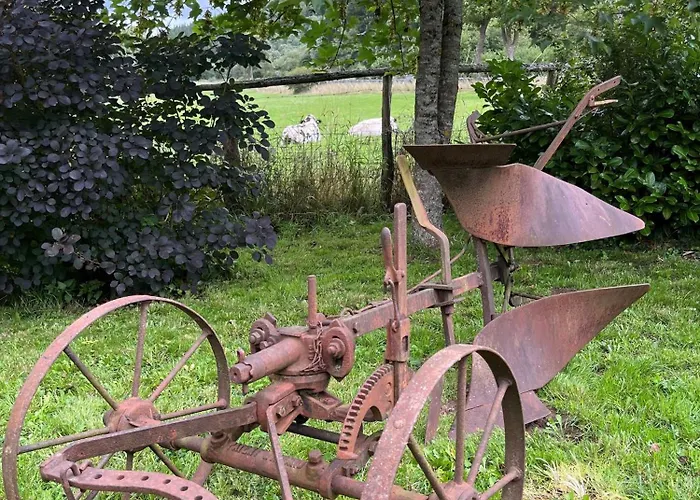 Lochhof Zwei - Eifelurlaub Mit Farmcharme 度假居 黑伦塔尔